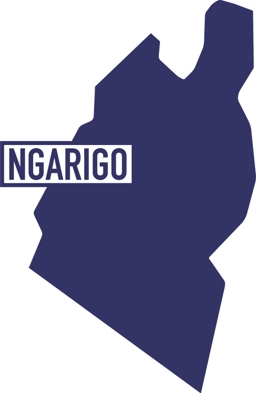 Ngarigo Country